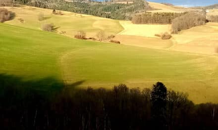 Teu­fels­bründl in Hochneukirchen