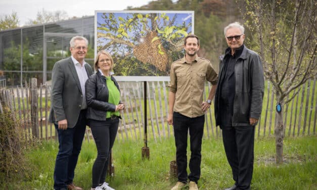 Die bes­ten Natur­fo­tos wer­den wie­der gesucht