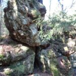 From Hol­len­thon to Hanserlstein