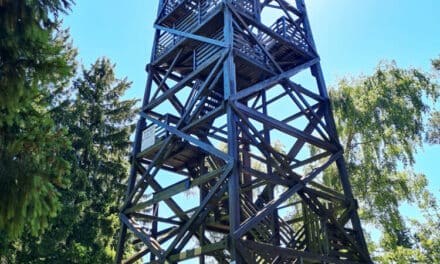 Hut­wisch-Berg­lauf: Buck­l­tour mit Aussicht