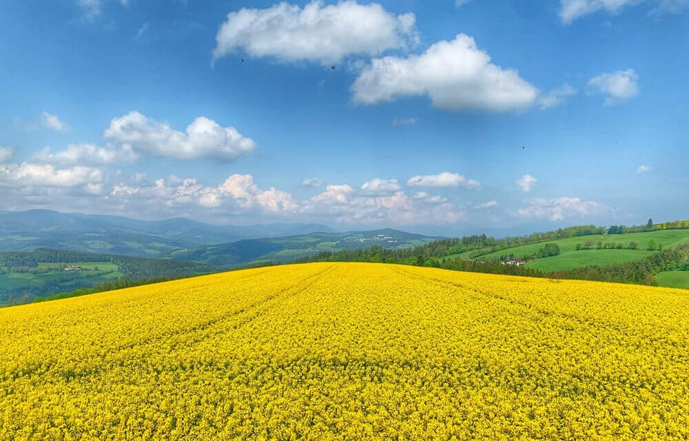 Eine Region voller Lieblingsplätze