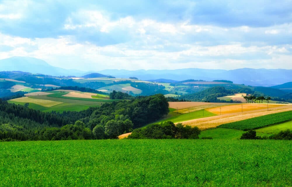 Eine Region voller Lieblingsplätze