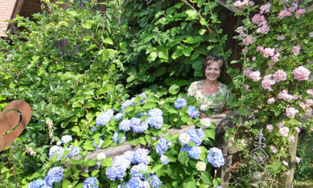 Prämierter Schaugarten und eine Oase der Stille