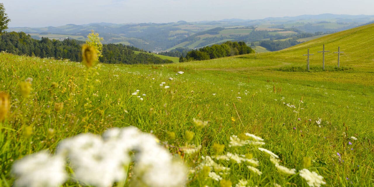 Eine Region voller Lieblingsplätze