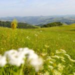 Eine Region voller Lieblingsplätze