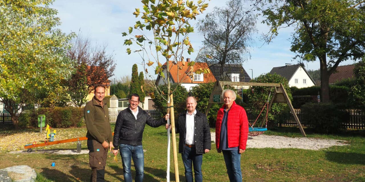 Aufforstung: Baumvielfalt für Katzelsdorf