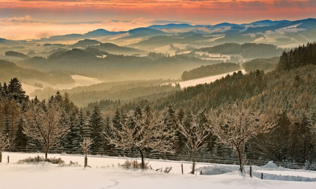 Start in die zauberhafte Vorweihnachtszeit