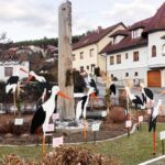 Storchenpark in Hollenthon wächst