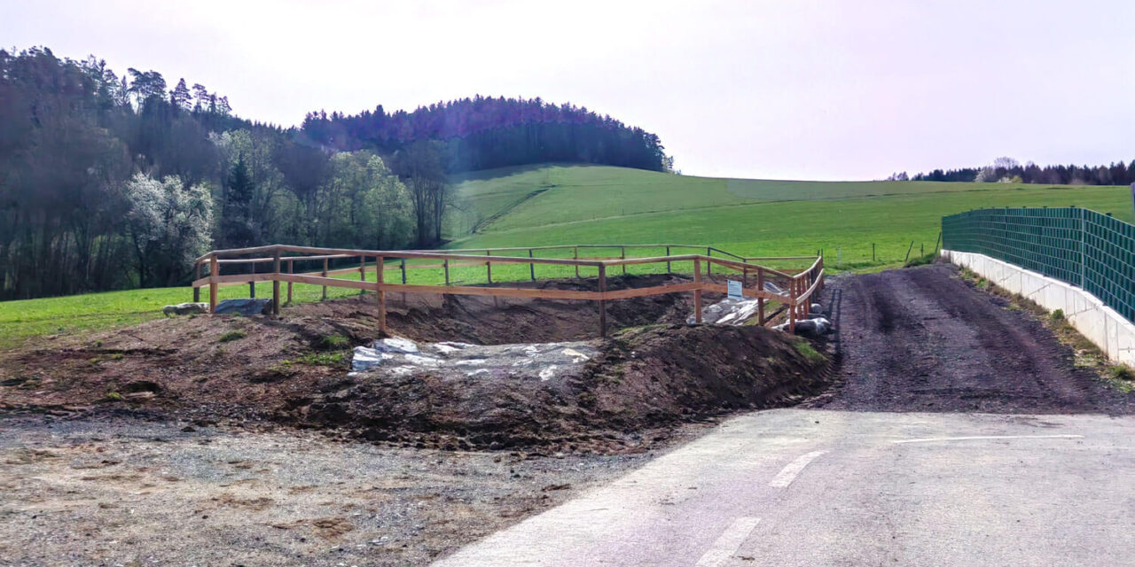 Kleinrückhaltebecken als Sofort-Schutz
