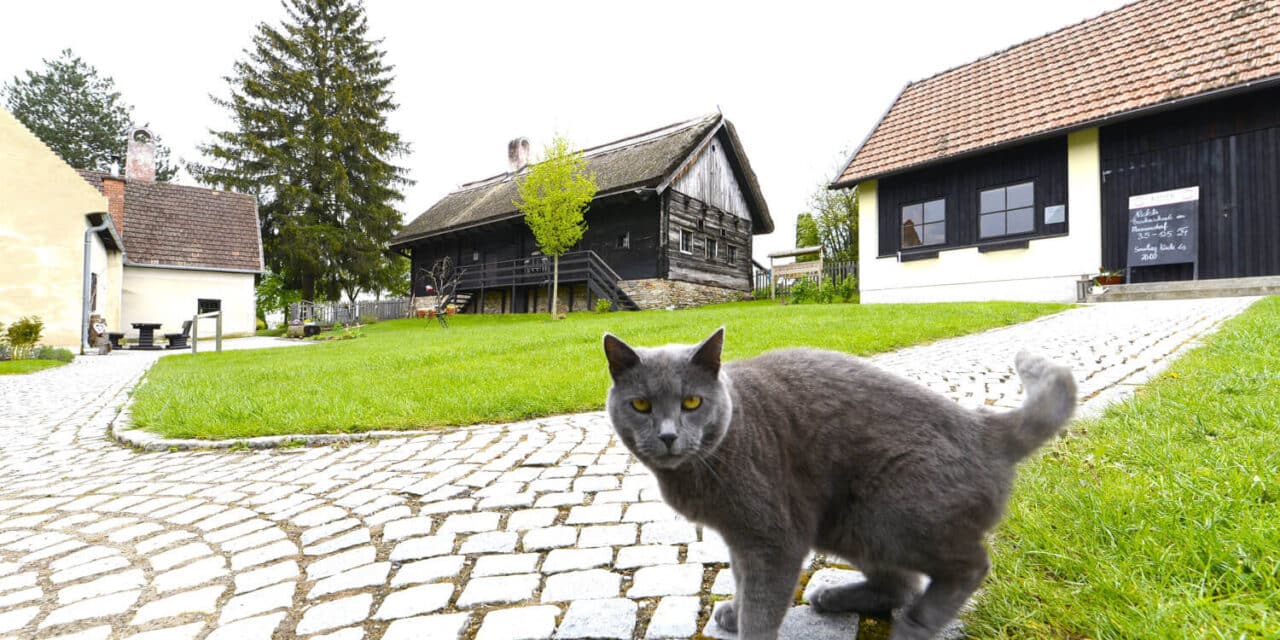 Krumbach: Wo die Zeit ein wenig stillstehen darf