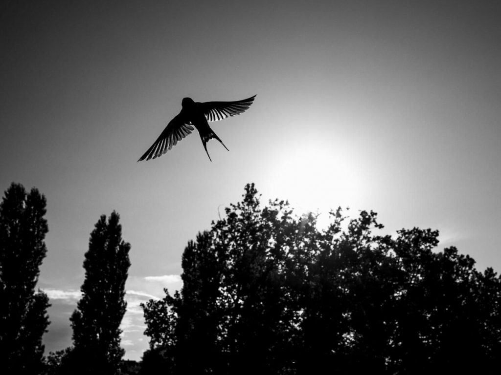 Fotowettbewerb2