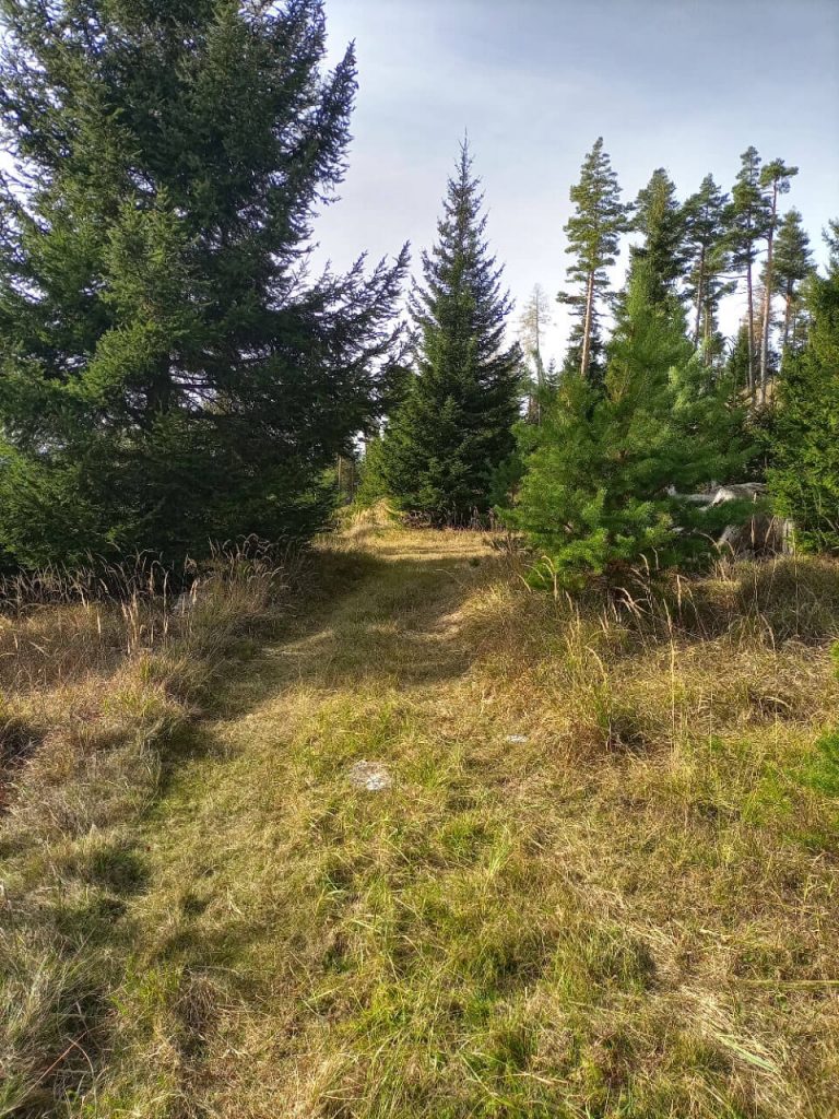 Vom Fischteich zum Großen Otter 3 ausflugstipp Wiesenweg
