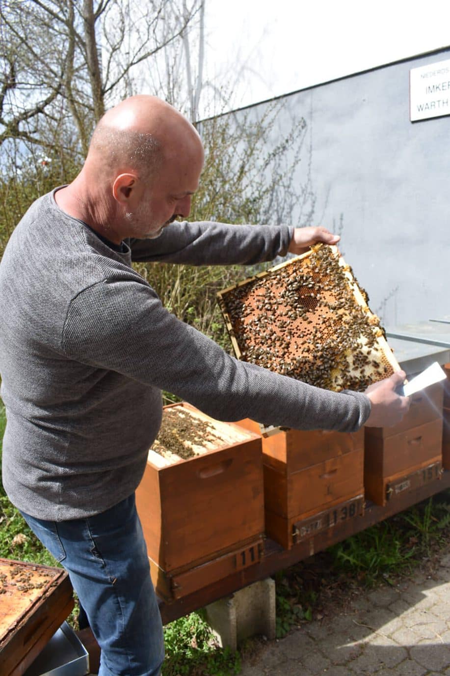 Serie klimafit Bienen6 edited