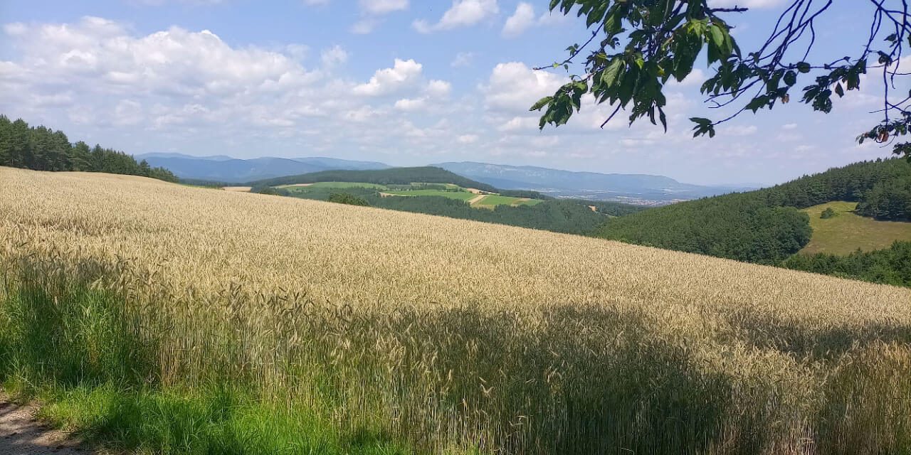 Die Geschichte einer Ruine mit vielen Namen