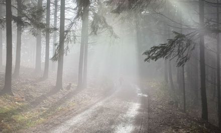 Die „hoch gelegene neue Kirche“ als Namensgeber für eine Gemeinde